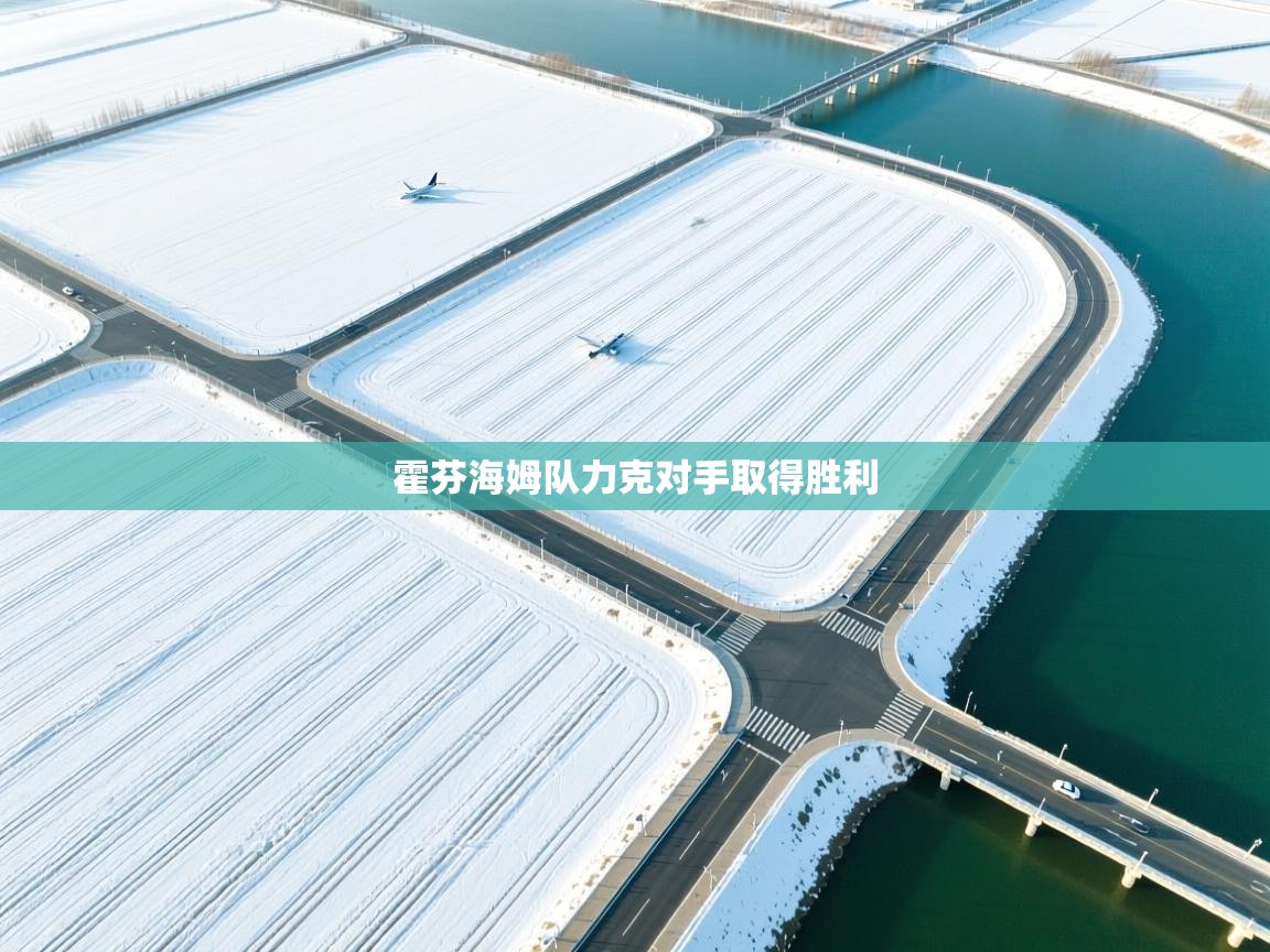 霍芬海姆队力克对手取得胜利  第2张