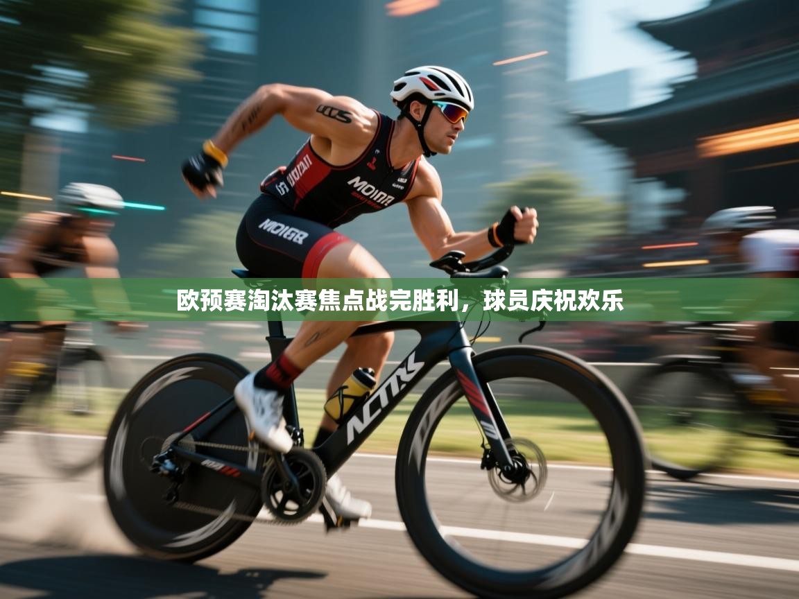 欧预赛淘汰赛焦点战完胜利，球员庆祝欢乐  第2张