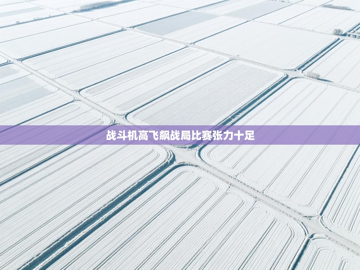 战斗机高飞飙战局比赛张力十足  第1张