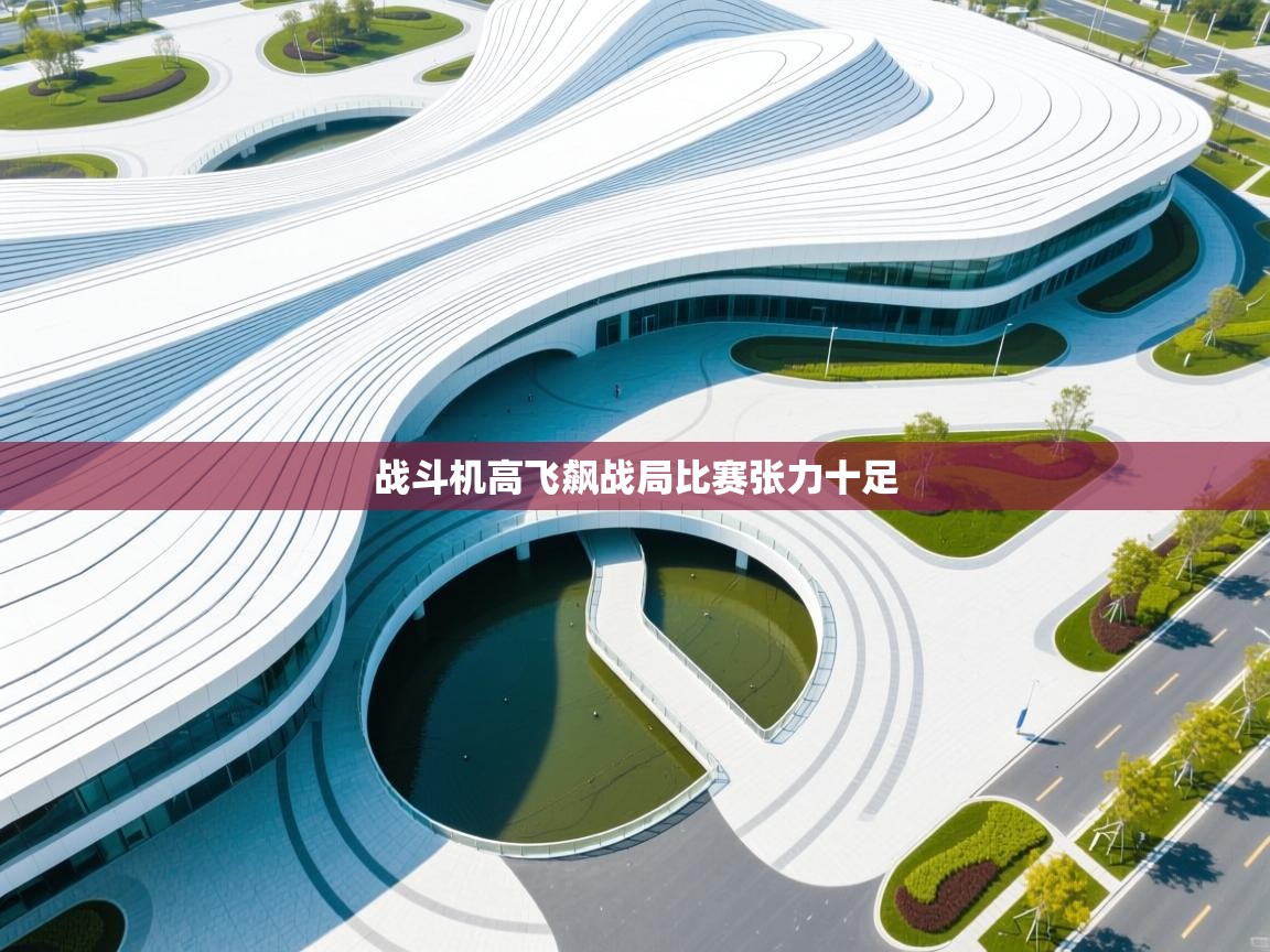 战斗机高飞飙战局比赛张力十足  第2张