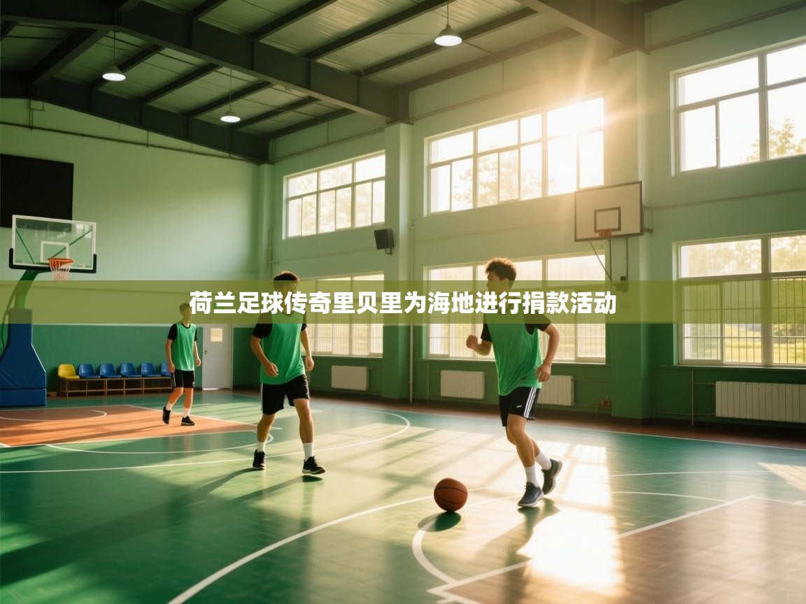 荷兰足球传奇里贝里为海地进行捐款活动  第2张