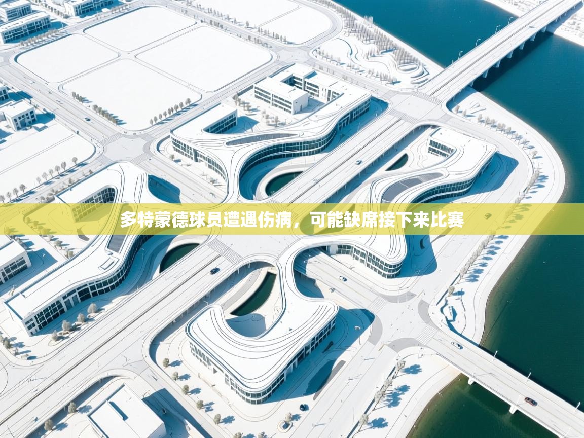 多特蒙德球员遭遇伤病，可能缺席接下来比赛  第2张