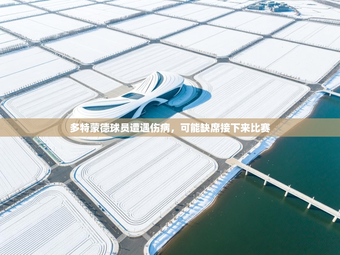 多特蒙德球员遭遇伤病，可能缺席接下来比赛  第1张